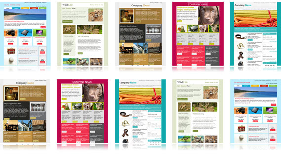 10 Email Newsletter Templates