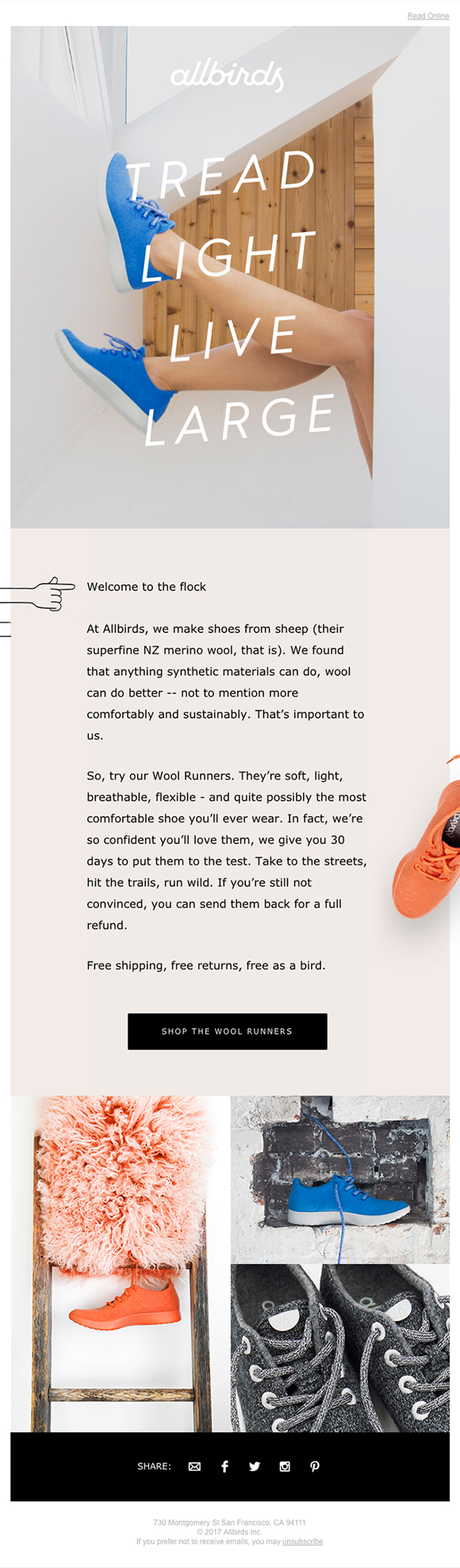 Email example by allbirds - Millennials