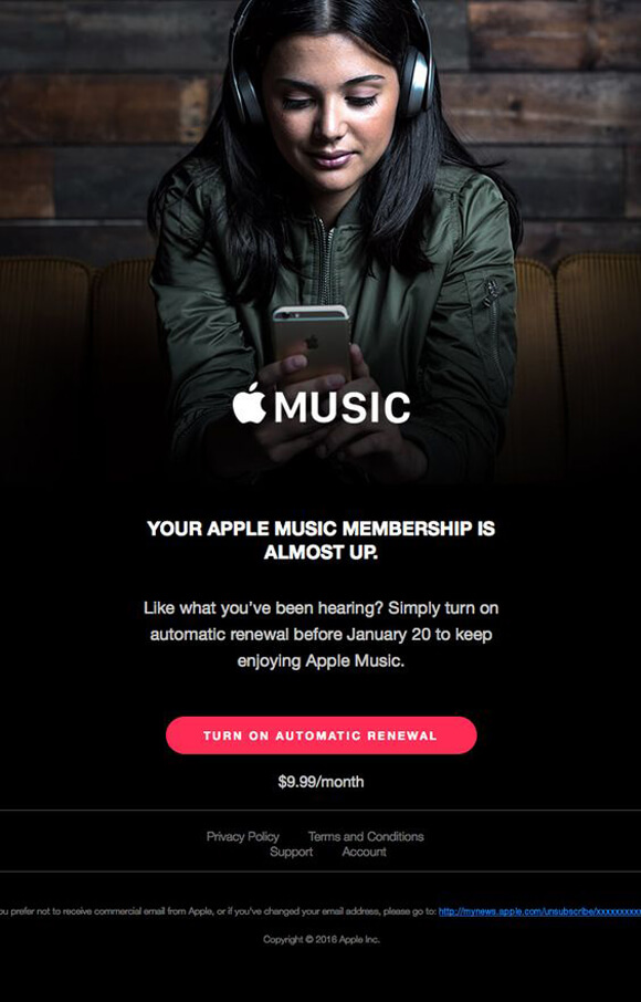 Email Copywriting Example by Apple