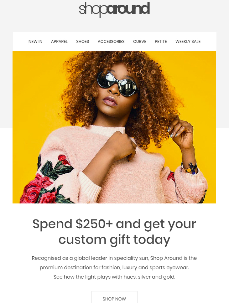 shoparound-free-ecommerce-email-template