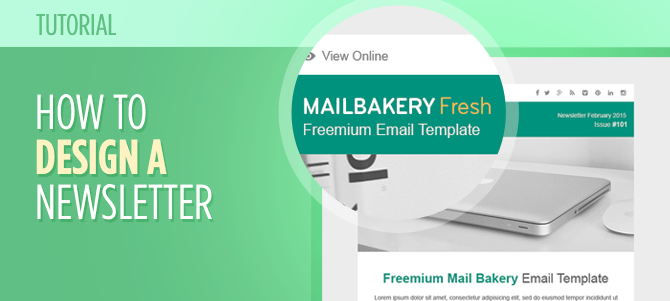 How to Design a Newsletter Template Tutorial 1
