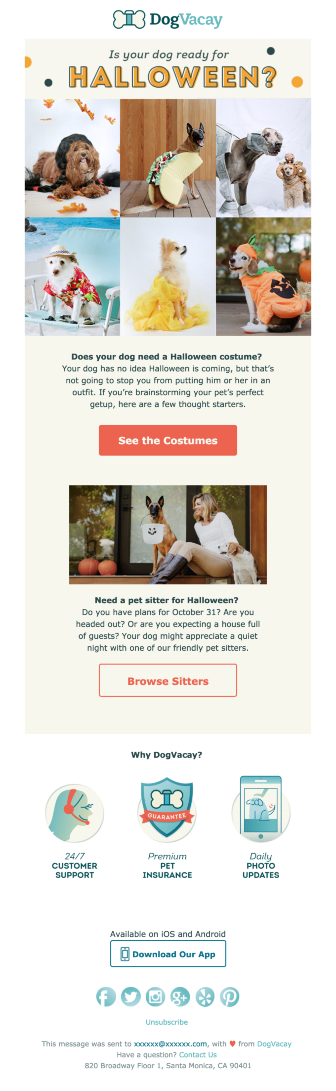 dogvacay dog halloween costumes