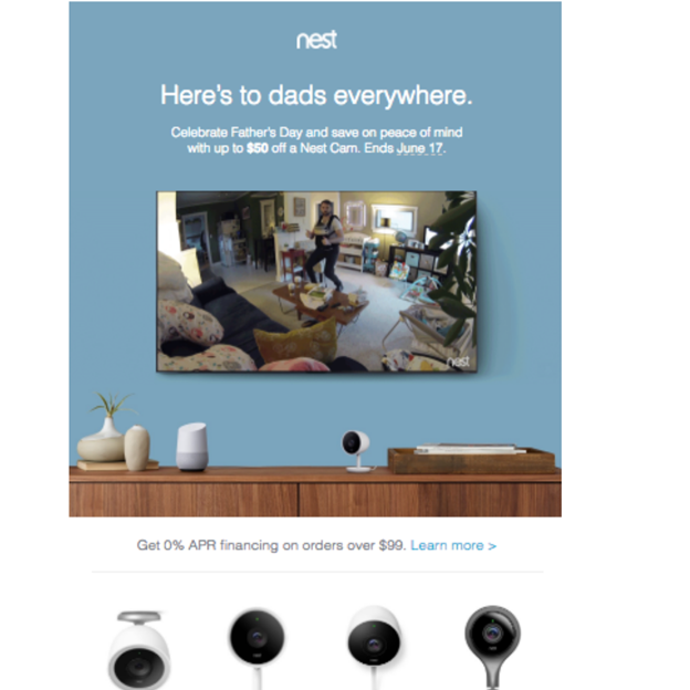 Nest - Father's Day Email Campaign Examples