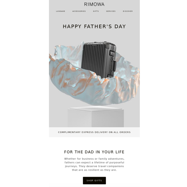 Rimowa - Father's Day Email Campaign Examples